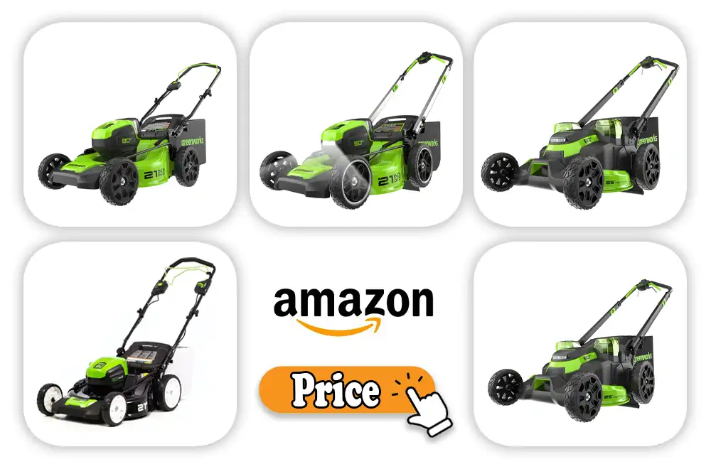 Greenworks 80v Price