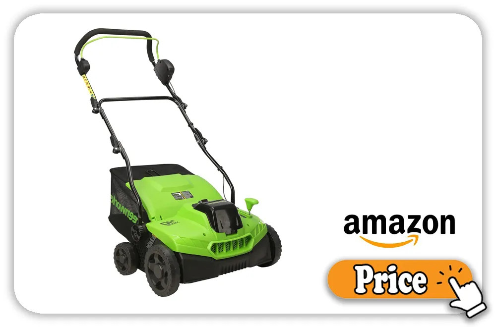 Greenworks Dethatcher Price