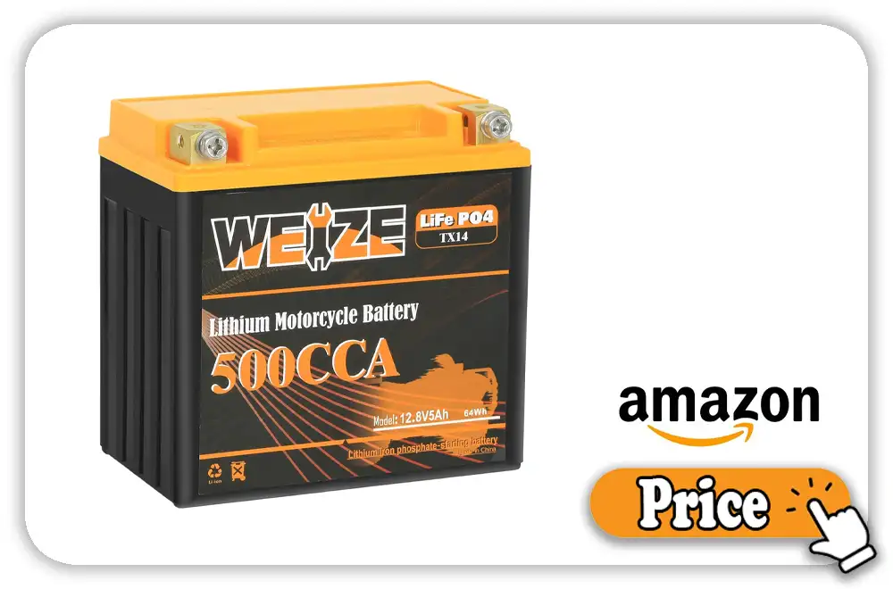 Weize YTX14-BS Lithium