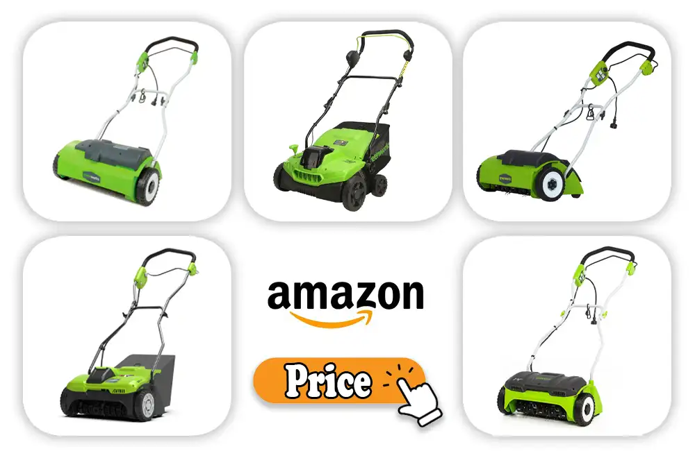 Greenworks Dethatcher Price