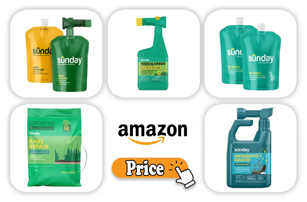 Sunday Lawn Care Price