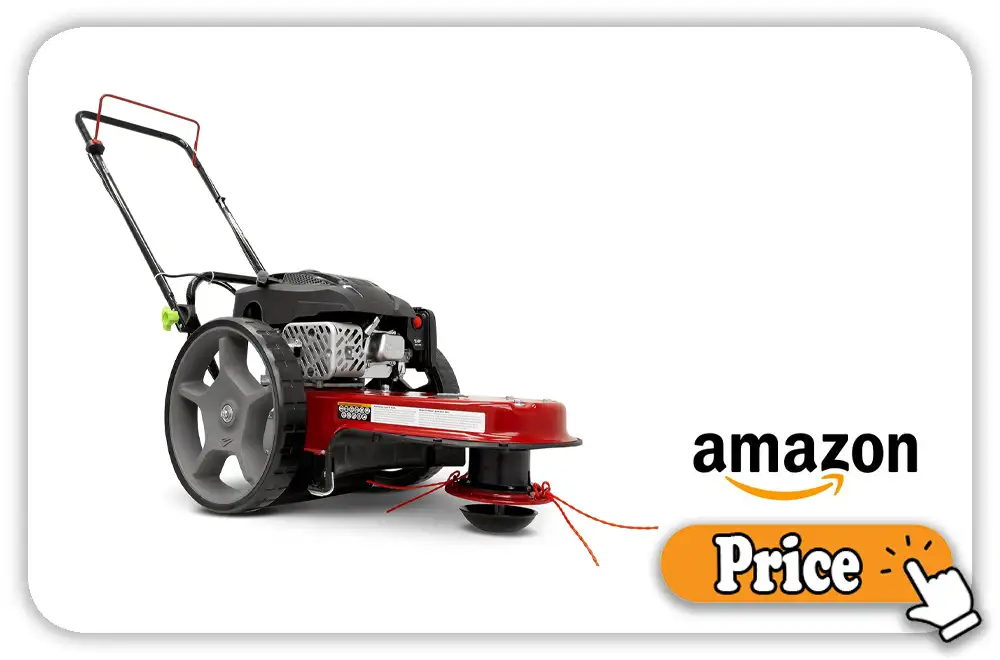 Earthquake 40314 Price