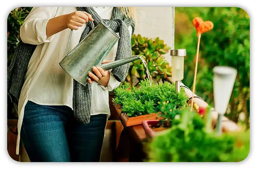 Fertilizing Frequency by Crop Type