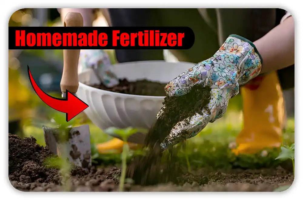 How to DIY Homemade Organic Fertilizer for Garden Plants