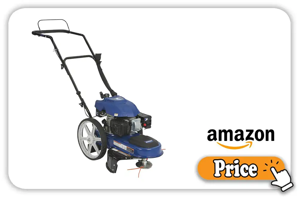 Powerhorse 173cc Price