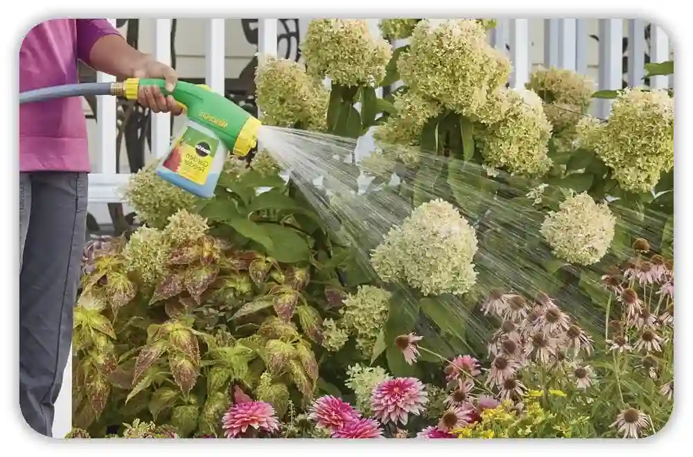Special Cases: Container Gardens and Raised Beds