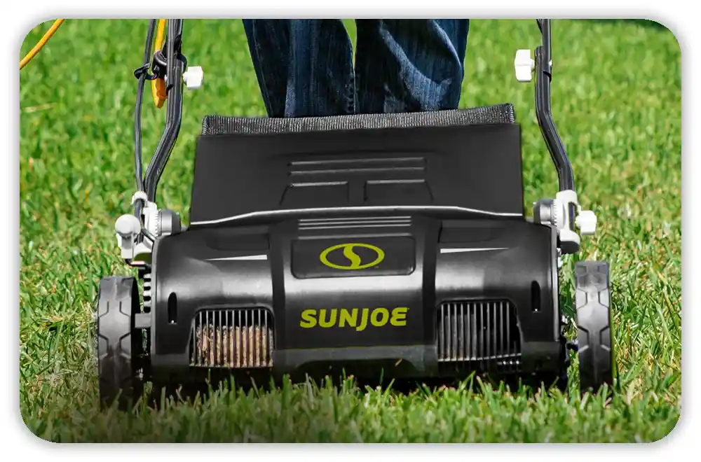 Sun Joe AJ801E Review