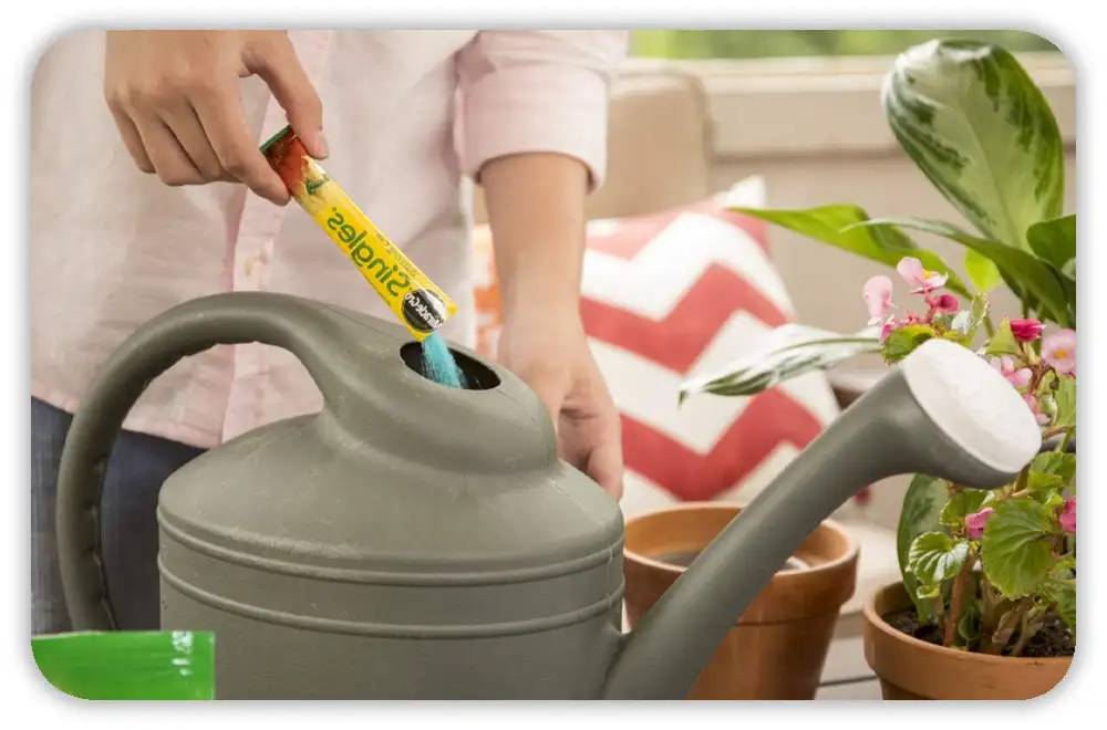 The Three Best Times to Fertilize a Vegetable