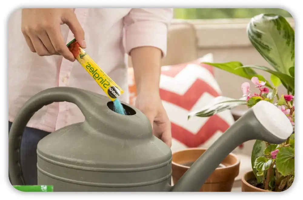 Types of Fertilizers for Vegetable Gardens