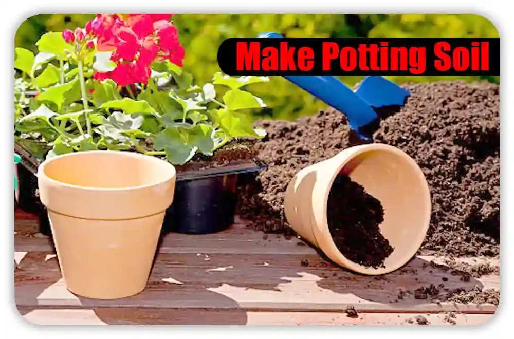 When and Where to Use This DIY Potting Soil