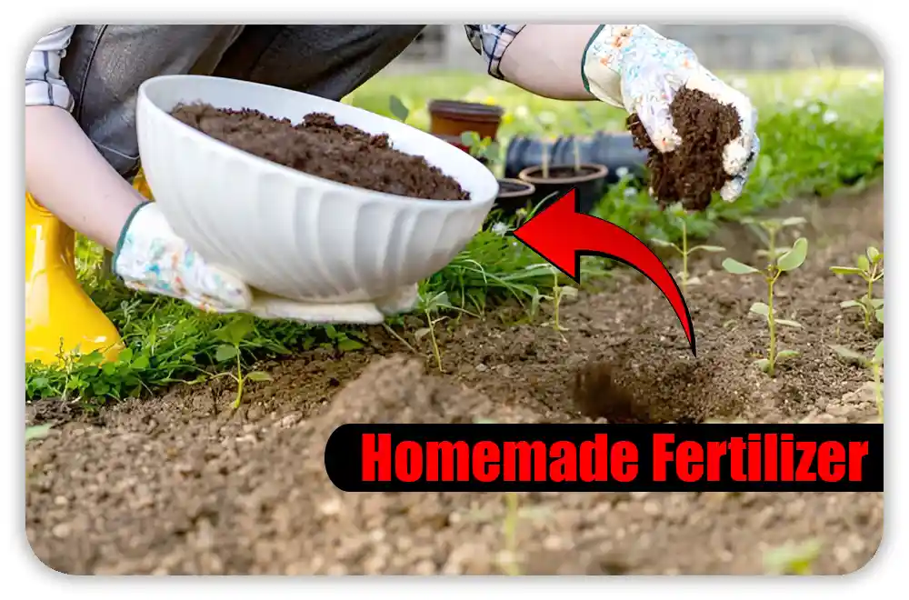 When to Use DIY vs. Store-Bought Organic