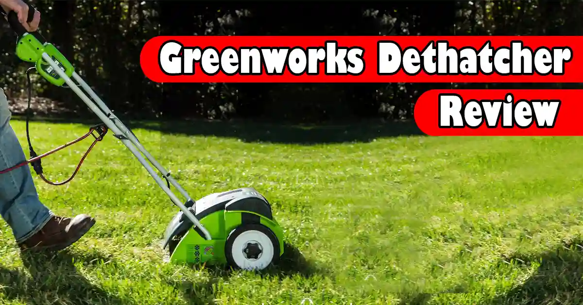 Greenworks Dethatcher Review