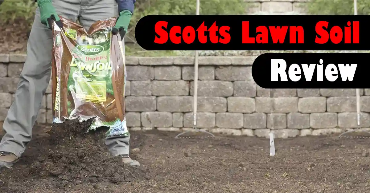 Scotts Lawn Soil Review