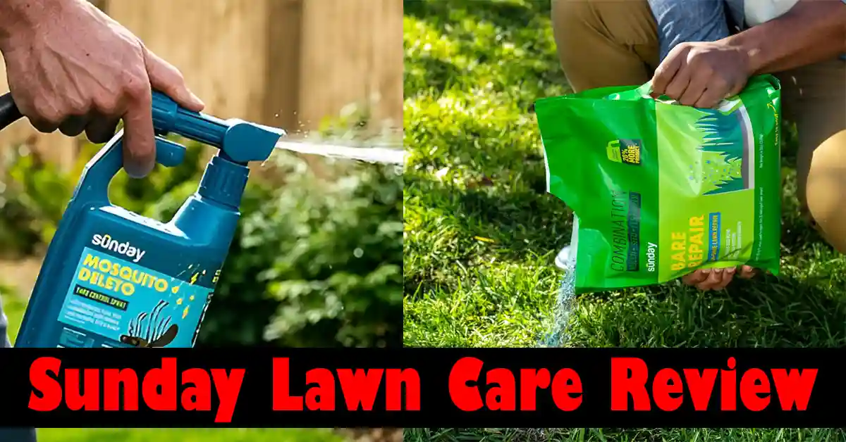 Sunday Lawn Care Review