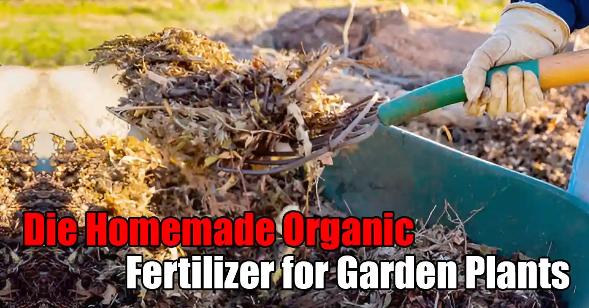 Die Homemade Organic Fertilizer for Garden Plants