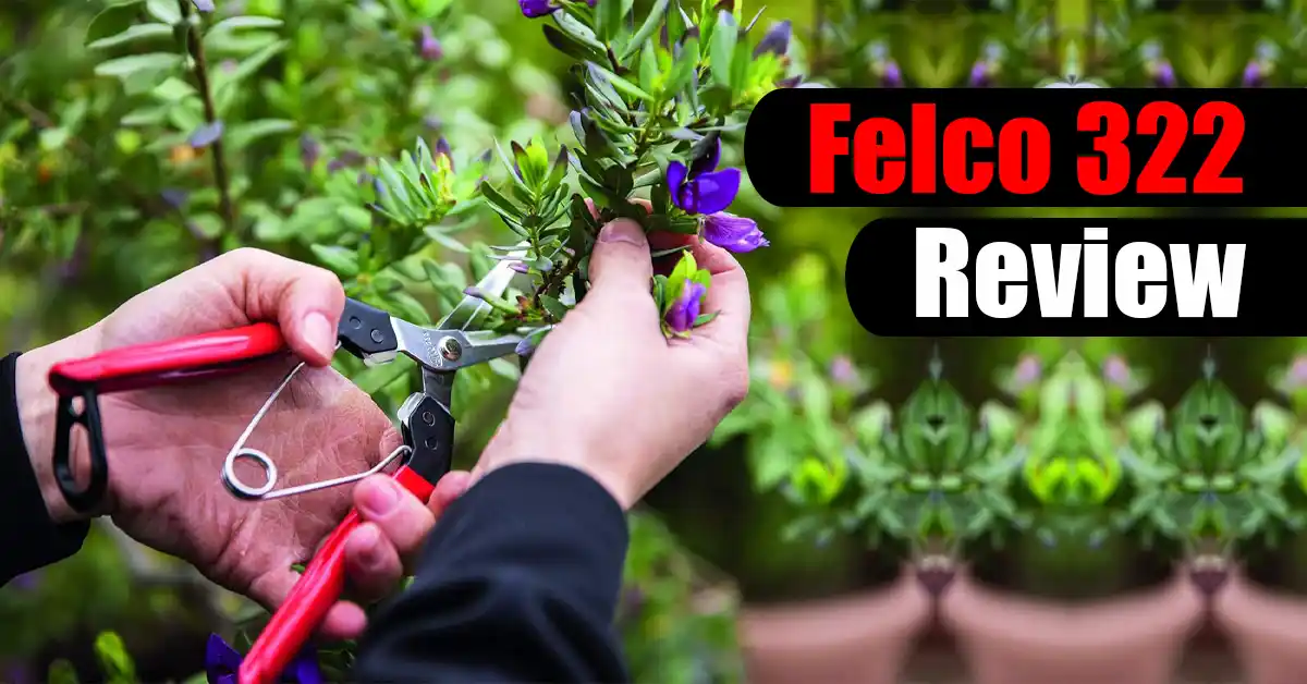 Felco 322 Review