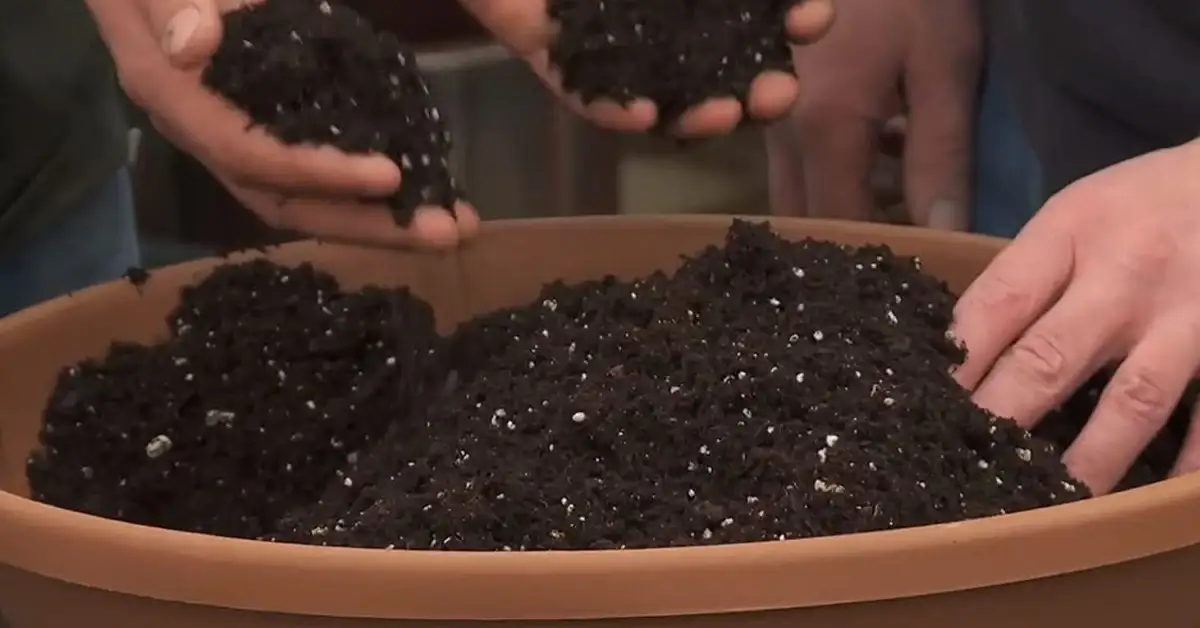 How Long Does Potting Soil Last