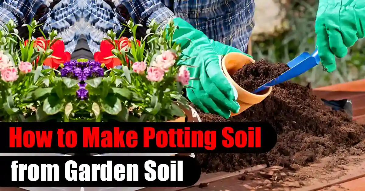 How to Make Potting Soil from Garden Soil
