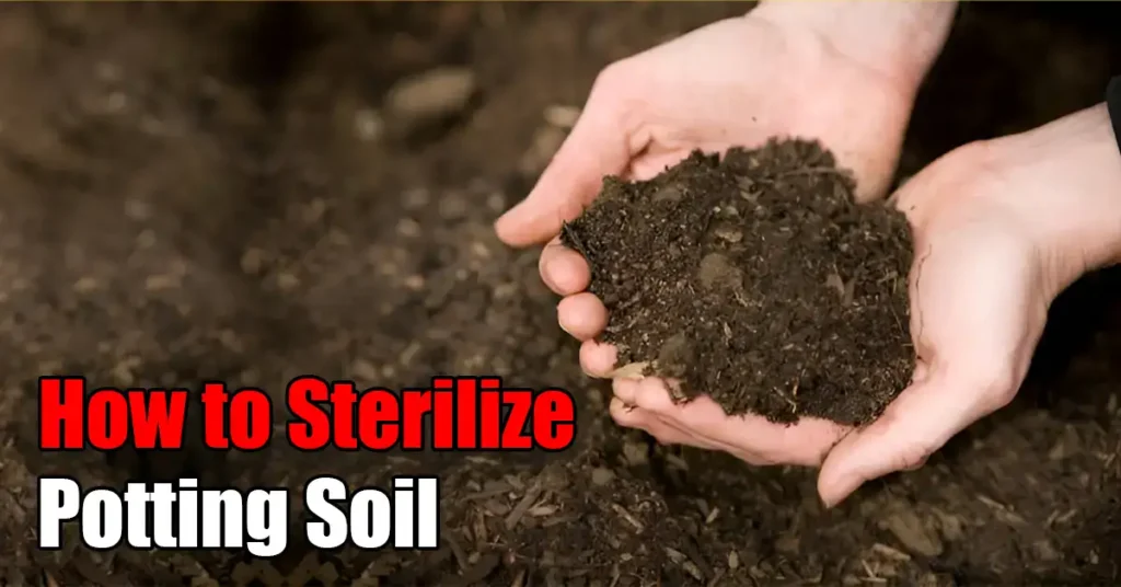 How to Sterilize Potting Soil