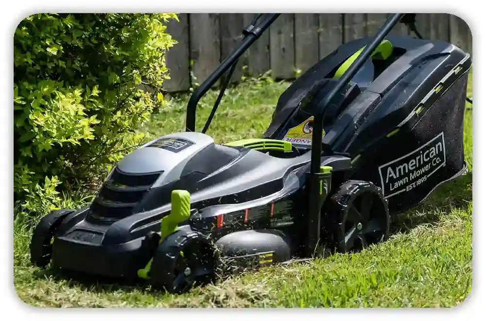 Should You Mow Wet Grass