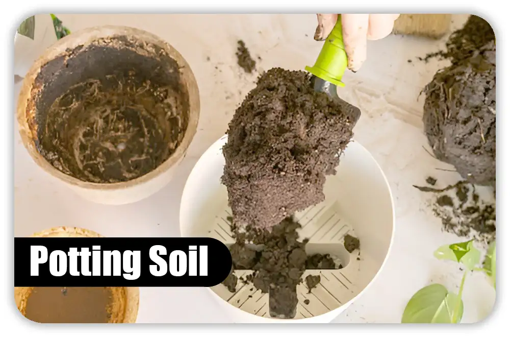 So, Does Potting Soil Go Bad