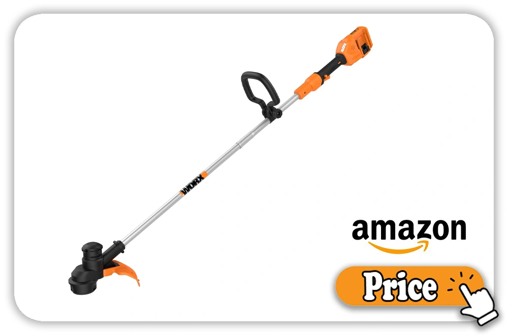 Worx WG183 Price