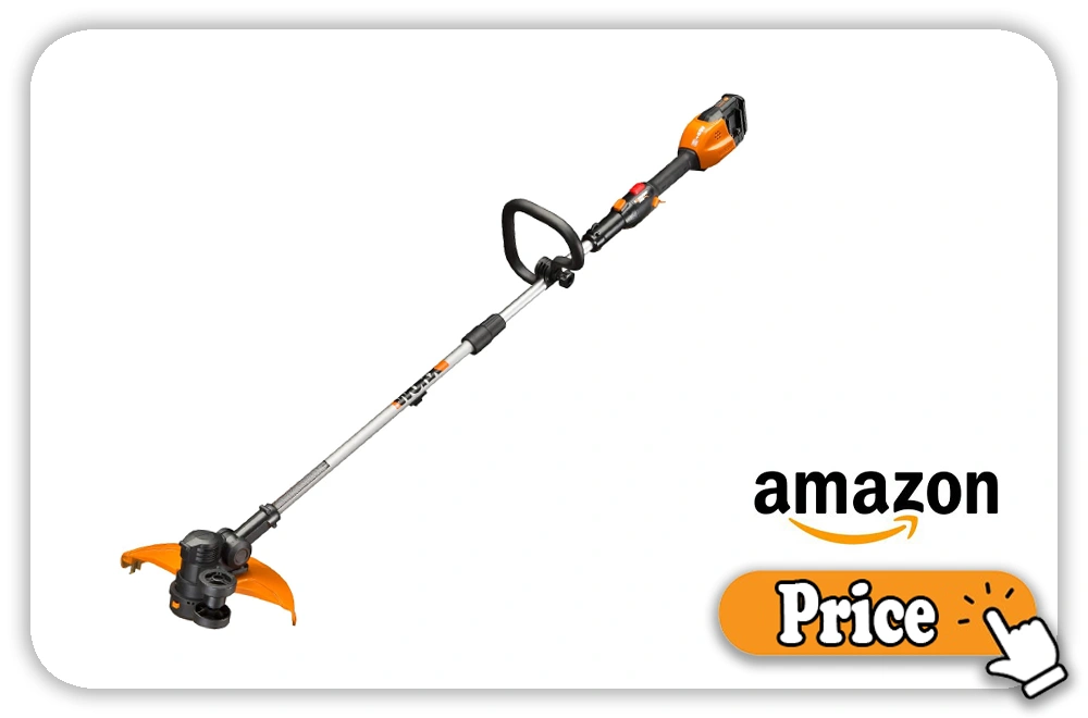 Worx WG184 Price