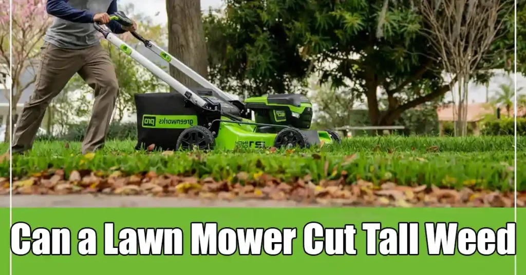 Can a Lawn Mower Cut Tall Weed