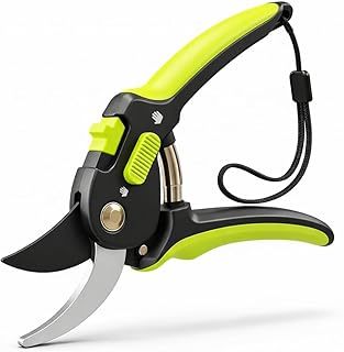 8.5 Professional Pruning Shears