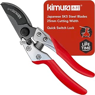 Kimura 8